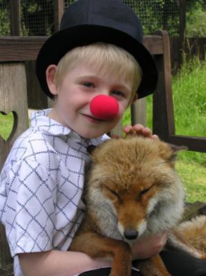 flukey with a rescued fox