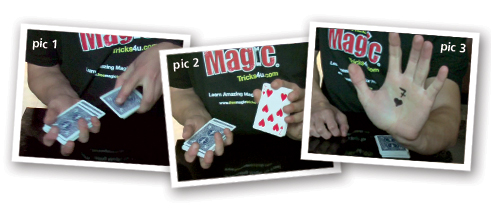 Card Magic Tricks